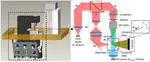 Real Time 3D Cytomorphological Imaging using Digital Holographic Microscopy and Fluorescence Microscopy for Space Biology