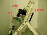 Digital holographic microscopy real-time monitoring of cytoarchitectural alterations during simulated microgravity