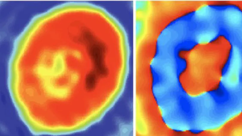 Deconvolved phase imaging for diffraction tomography