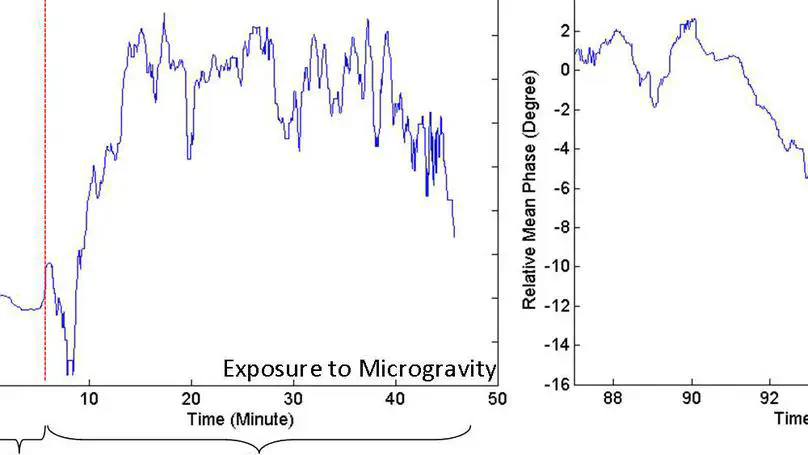 Digital holographic microscopy for the cytomorphological imaging of cells under zero gravity