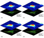 Enhanced robustness digital holographic microscopy for demanding environment of space biology