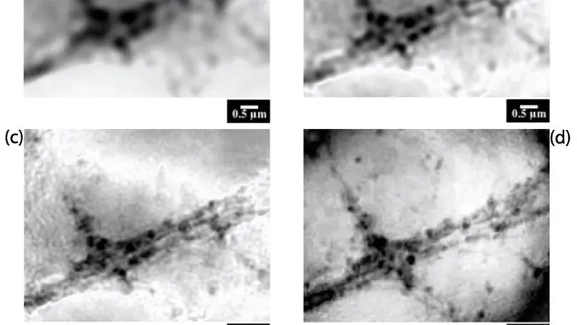 Dealing with reconstructed complex fields in microscopy: Going to the resolution limit and beyond?