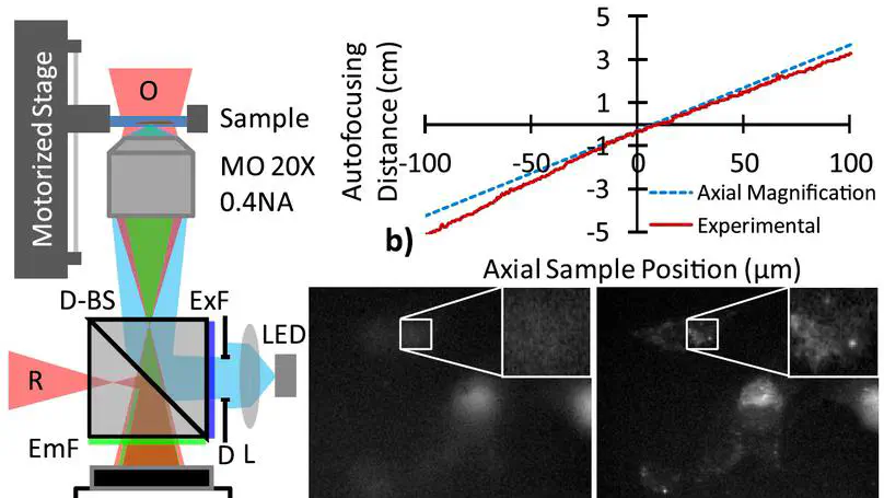 Accelerated autofocusing of off-axis holograms using critical sampling