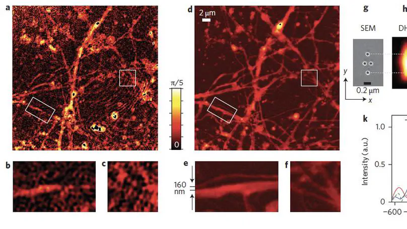 Marker-free phase nanoscopy