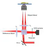 Total internal reflection holographic microscopy for cellular imaging