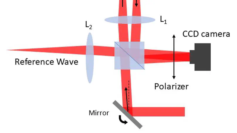 Total internal reflection holographic microscopy for cellular imaging