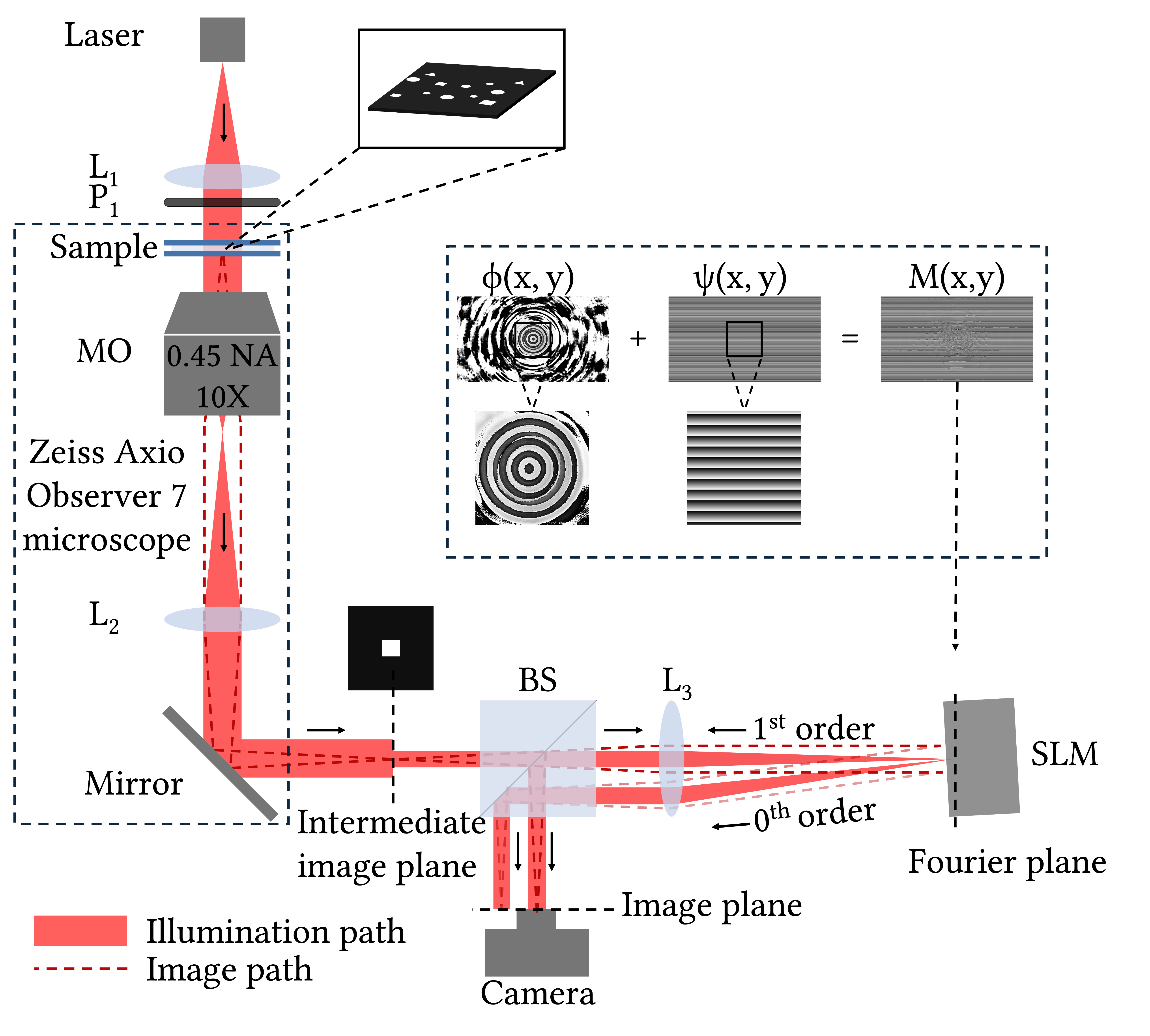 All-Optical Selective Target Highlighting